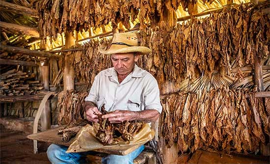 Visita a finca de tabaco en Viñales