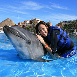 Programa de Lujo MexicoTopTravel en Delfinario de los Cabos