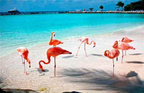 Celestun biosphere reserve