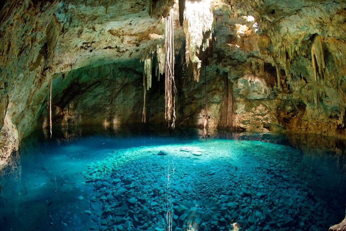 Yucatán Cenote Experience