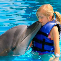 Vacaciones en familia en Cabo San Lucas