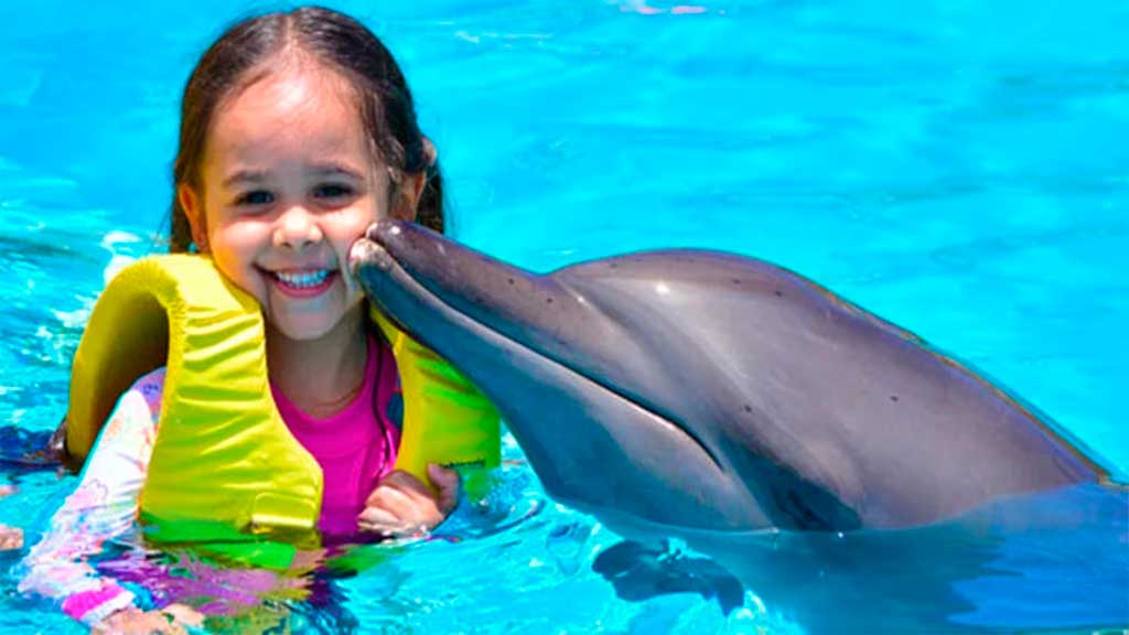 Dolphinaris, located in the Riviera Maya