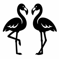 Flamingos