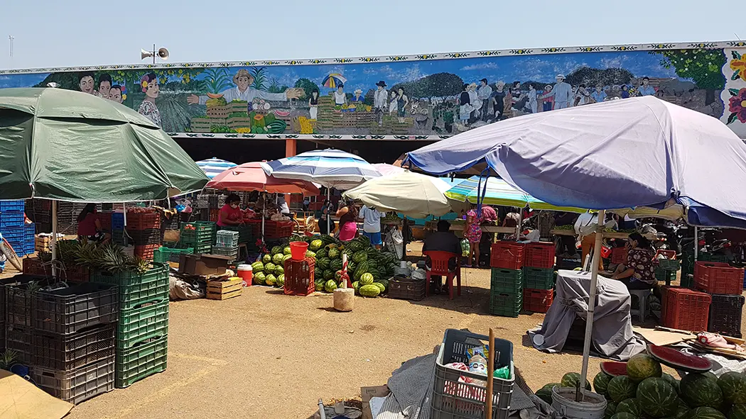 Agriculture local market Oxcutzcab Mexico