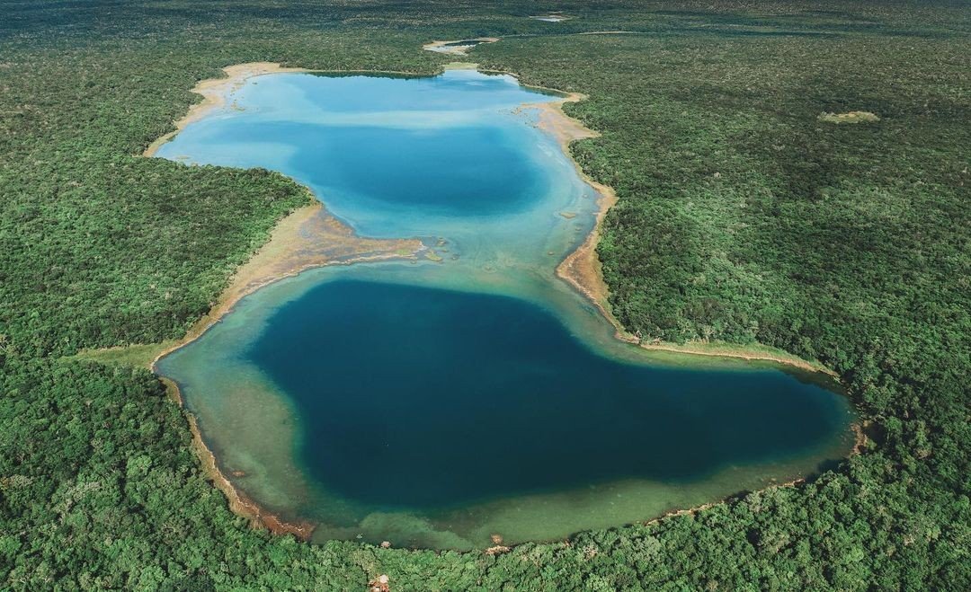 Ojos de agua en Celestún