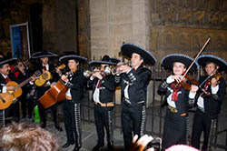 Mariachis in Plaza Garibaldi