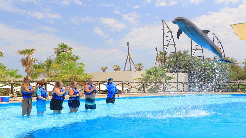 Dolphinarium Cabo Dolphins in Cabo San Lucas Marina