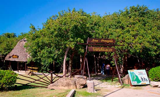 Reserva Ecológica Varahicacos